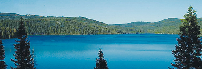 Picture of Bucks Lake